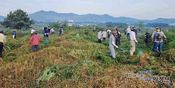 역리 주민들이 무연분묘를 벌초작업하고 있다.  ⓒ 삽교읍